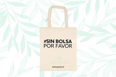 venta Bolsa Plana Paris chile