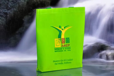 Bolso Amep