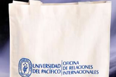 Bolso Lona de Algodón UP