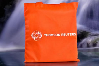 Bolso Thomson