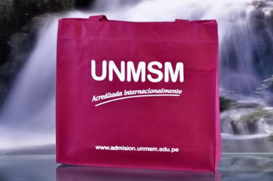 Bolso Universidad San Marcos